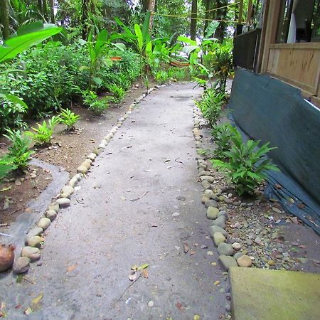 Kacha B&B Beach Front Manuel Antonio Kültér fotó