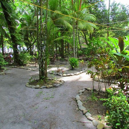 Kacha B&B Beach Front Manuel Antonio Kültér fotó