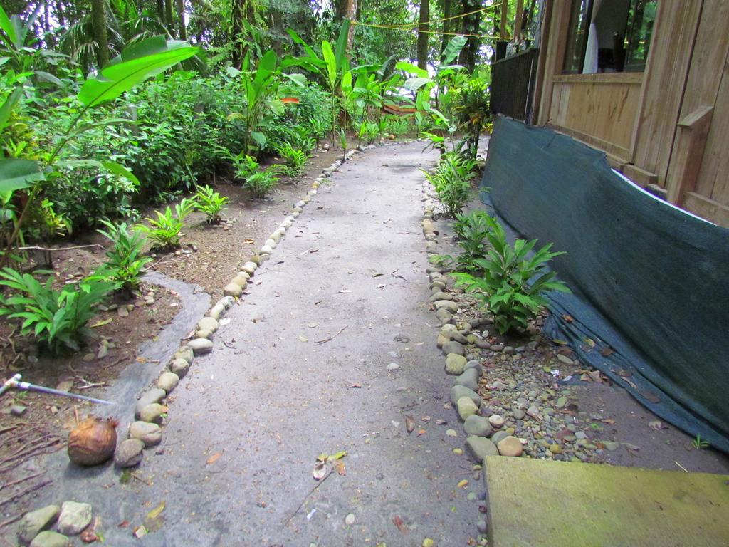 Kacha B&B Beach Front Manuel Antonio Kültér fotó