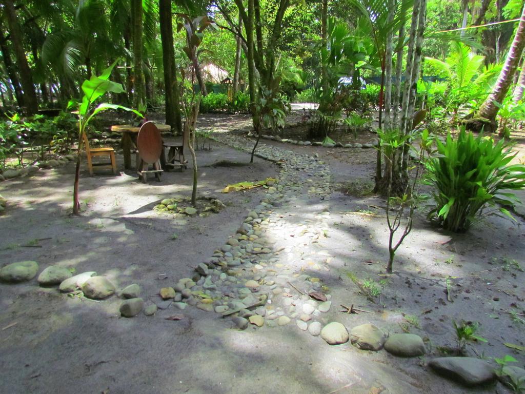 Kacha B&B Beach Front Manuel Antonio Kültér fotó