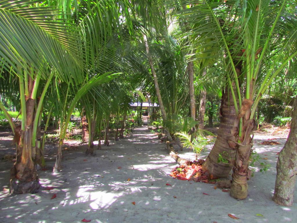 Kacha B&B Beach Front Manuel Antonio Kültér fotó